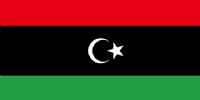 利比亚公证书领事认证，利比亚外交部使馆双认证